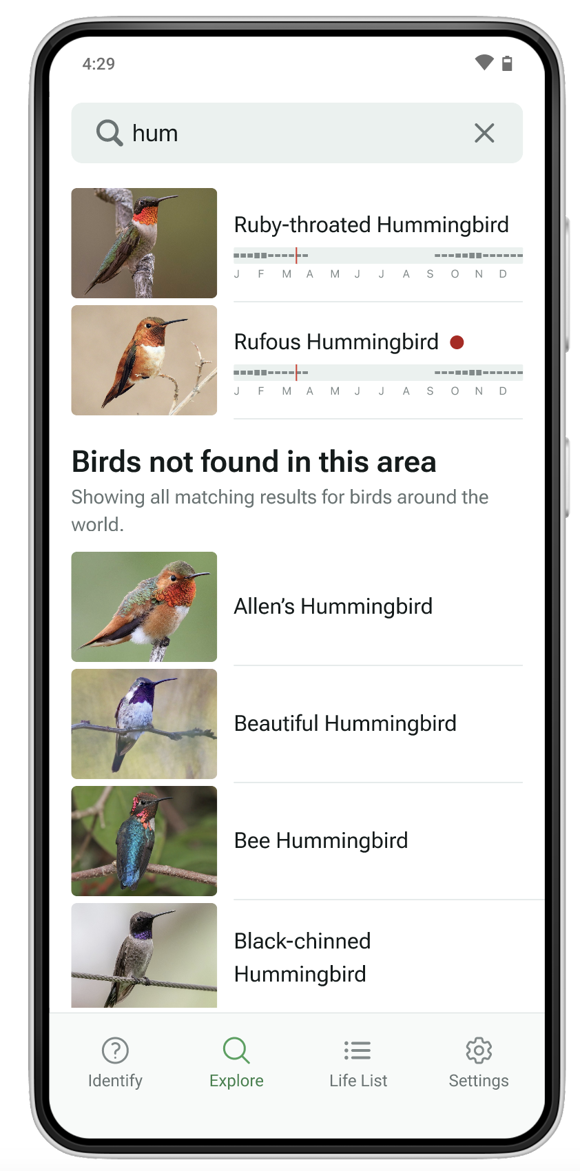 explore search project preview