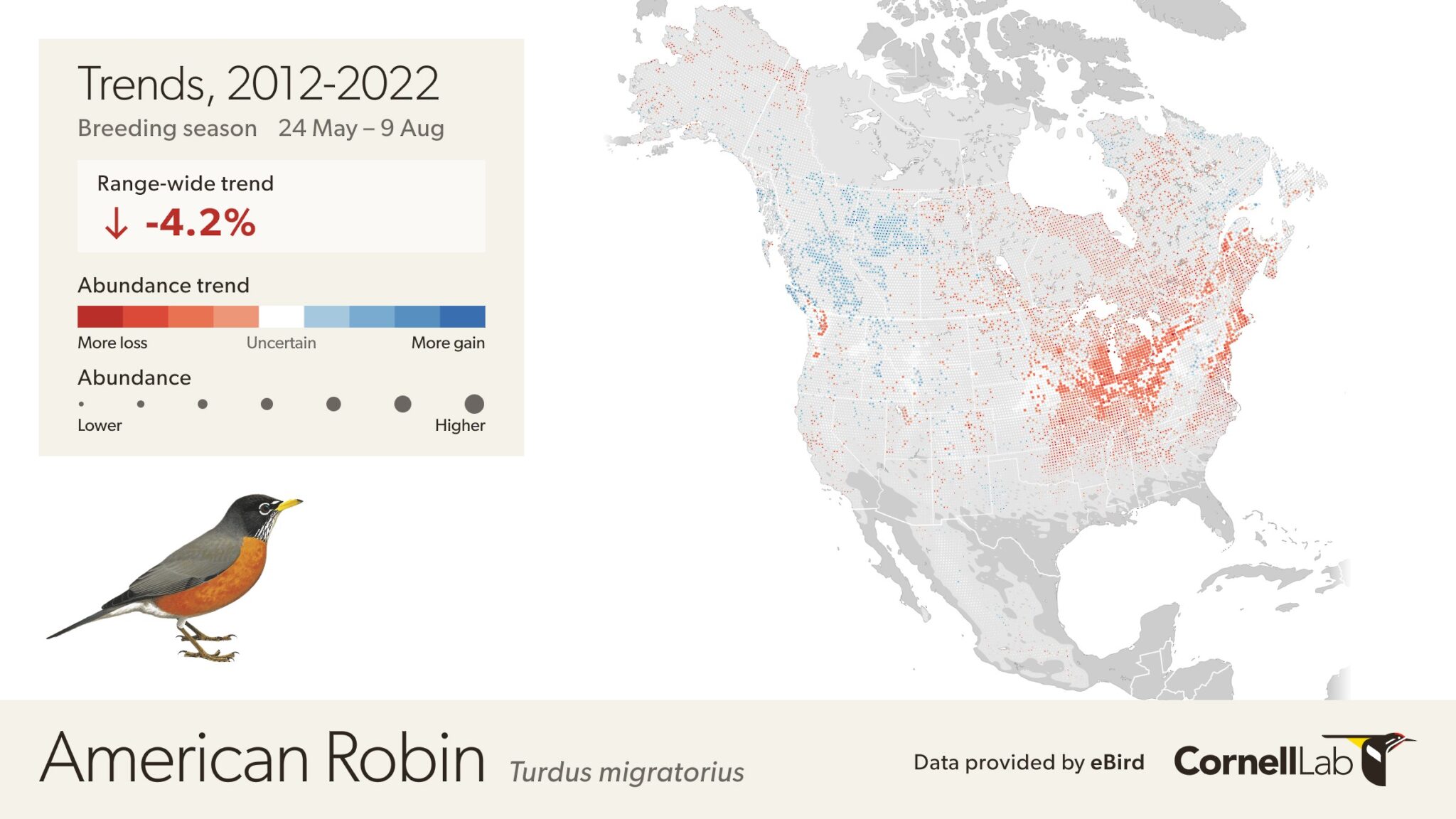 American Robin Trends - This map depicts the cumulative change in estimated relative abundance for American Robin from 2012 through 2022 with circles representing 27km x 27km regions. Red indicates decline and blue indicates increase. The darker the color, the stronger the trend. White circles represent locations where the trend estimate is not significantly different from zero (i.e., the 80% confidence interval contains zero). Circle sizes are scaled by the estimated relative abundance at the middle of the time period